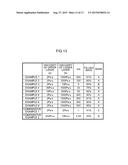 TRANSDERMAL ABSORPTION SHEET, AND MANUFACTURING METHOD FOR THE SAME diagram and image