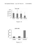 DRUG COMPOSITION FOR TREATING TUMORS AND APPLICATION THEREOF diagram and image