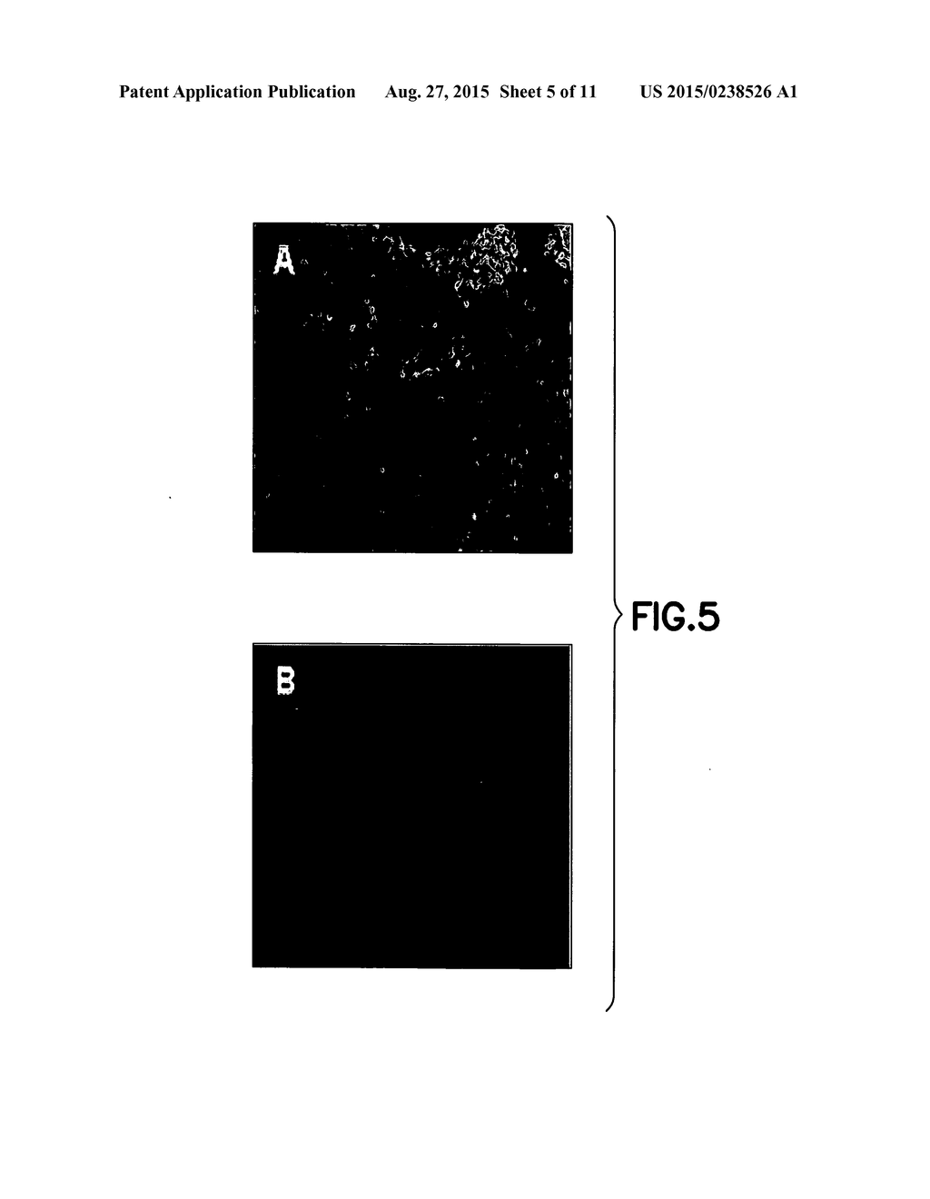 CD34 STEM CELL-RELATED METHODS AND COMPOSITIONS - diagram, schematic, and image 06