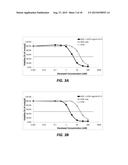 TRIPTERYGIUM WILFORDII EXTRACTS TO OVERCOME CHEMOTHERAPY RESISTANCE diagram and image