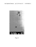 BORON CLUSTER-MODIFIED PEG LIPID DERIVATIVE, AND MOLECULAR ASSEMBLY USING     SAME diagram and image