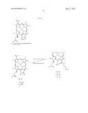 WATER SOLUBLE ANIONIC BACTERIOCHLOROPHYLL DERIVATIVES AND THEIR USES diagram and image