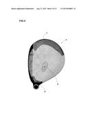 WOOD-TYPE GOLF CLUB HEAD diagram and image