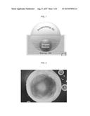 COMPOSITE LIQUID CELL (CLC) MEDIATED NUCLEIC ACID LIBRARY PREPARATION     DEVICE, AND METHODS FOR USING THE SAME diagram and image