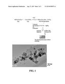 METHOD FOR SYNTHESIZING SILVER NANOPARTICLES ON TiO2 USING HYBRID POLYMERS diagram and image