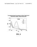 METHOD FOR SYNTHESIZING SILVER NANOPARTICLES ON TiO2 USING HYBRID POLYMERS diagram and image