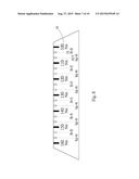 FAST TORQUE-ADJUSTABLE TORQUE WRENCH diagram and image