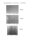 SOLVENT ANNEALING OF BLOCK COPOLYMER FILMS UNDER SUPER-SATURATED     ATMOSPHERES diagram and image