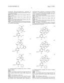 ANALOGS AND PRODRUGS OF LOOP DIURETICS, INCLUDING BUMETANIDE, FUROSEMIDE     AND PIRETANIDE; COMPOSITIONS AND METHODS OF USE diagram and image