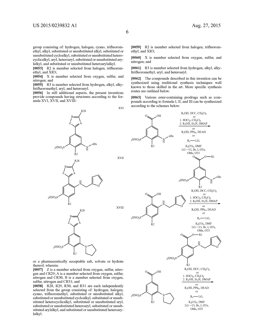 ANALOGS AND PRODRUGS OF LOOP DIURETICS, INCLUDING BUMETANIDE, FUROSEMIDE     AND PIRETANIDE; COMPOSITIONS AND METHODS OF USE - diagram, schematic, and image 09