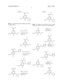 ANALOGS AND PRODRUGS OF LOOP DIURETICS, INCLUDING BUMETANIDE, FUROSEMIDE     AND PIRETANIDE; COMPOSITIONS AND METHODS OF USE diagram and image