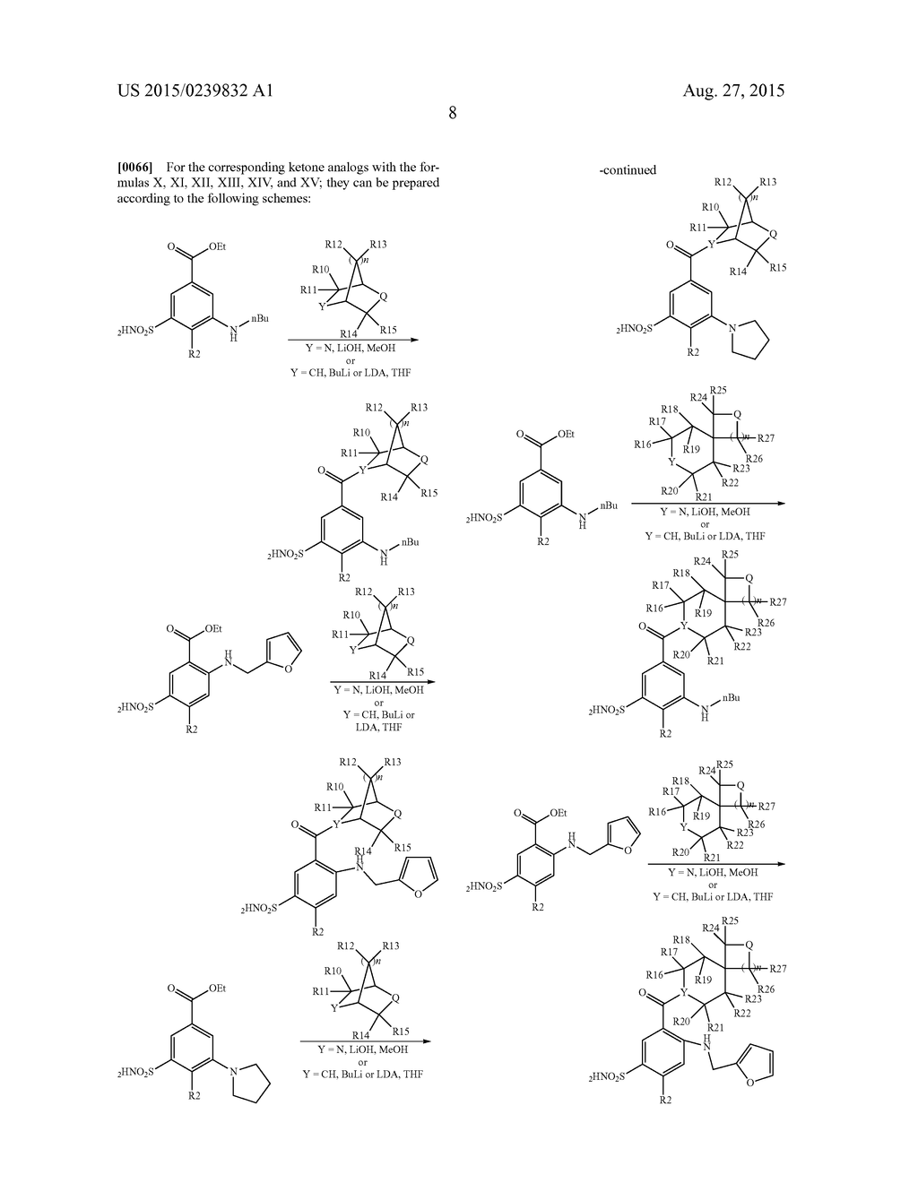 ANALOGS AND PRODRUGS OF LOOP DIURETICS, INCLUDING BUMETANIDE, FUROSEMIDE     AND PIRETANIDE; COMPOSITIONS AND METHODS OF USE - diagram, schematic, and image 11