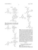 ANALOGS AND PRODRUGS OF LOOP DIURETICS, INCLUDING BUMETANIDE, FUROSEMIDE     AND PIRETANIDE; COMPOSITIONS AND METHODS OF USE diagram and image