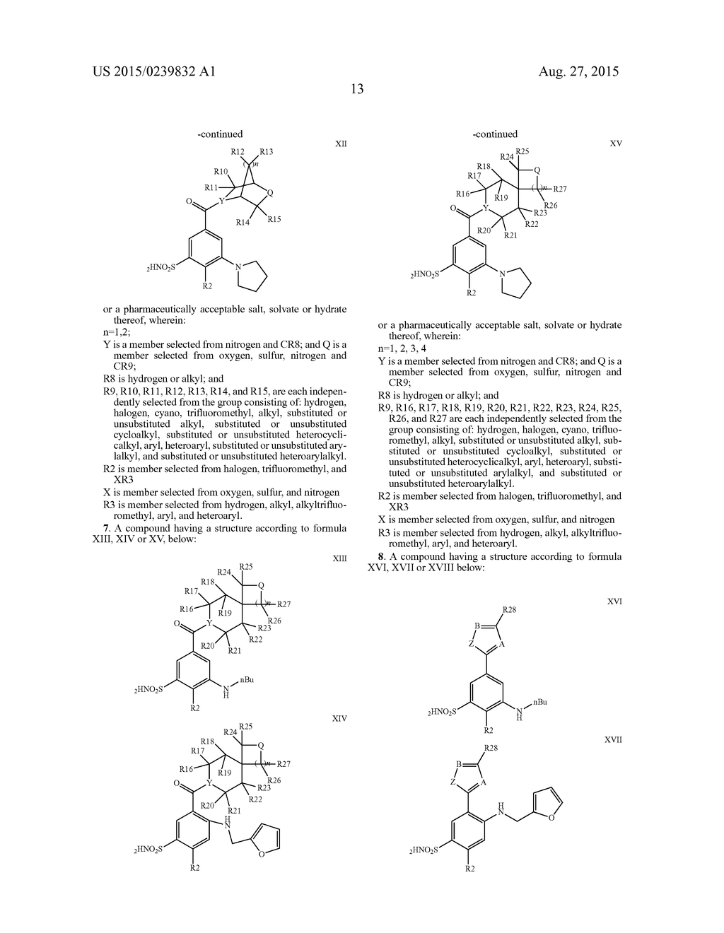 ANALOGS AND PRODRUGS OF LOOP DIURETICS, INCLUDING BUMETANIDE, FUROSEMIDE     AND PIRETANIDE; COMPOSITIONS AND METHODS OF USE - diagram, schematic, and image 16