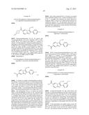 IMIDAZOPYRIDINE COMPOUNDS diagram and image