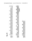 CELL-PENETRATING PEPTIDES AND USES THEREOF diagram and image