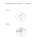 ACTIVE SOLUBLE POST-TRANSLATIONALLY MODIFIED NEUREGULIN ISOFORMS diagram and image