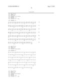 DESIGNER LIGANDS OF TGF-BETA SUPERFAMILY diagram and image