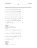 DESIGNER LIGANDS OF TGF-BETA SUPERFAMILY diagram and image