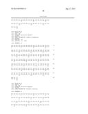 DESIGNER LIGANDS OF TGF-BETA SUPERFAMILY diagram and image