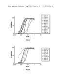 COMPLEMENT COMPONENT C5 ANTIBODIES diagram and image