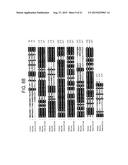 DRG11-RESPONSIVE (DRAGON) GENE FAMILY diagram and image