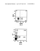 ANTI-MCAM ANTIBODIES AND ASSOCIATED METHODS OF USE diagram and image