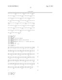 ANTI-MCAM ANTIBODIES AND ASSOCIATED METHODS OF USE diagram and image