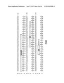 ANTI-MCAM ANTIBODIES AND ASSOCIATED METHODS OF USE diagram and image