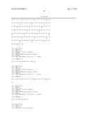 ANTI-MCAM ANTIBODIES AND ASSOCIATED METHODS OF USE diagram and image