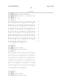 ANTI-MCAM ANTIBODIES AND ASSOCIATED METHODS OF USE diagram and image