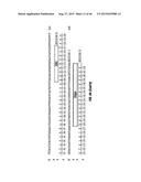 ANTI-MCAM ANTIBODIES AND ASSOCIATED METHODS OF USE diagram and image