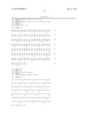 ANTI-MCAM ANTIBODIES AND ASSOCIATED METHODS OF USE diagram and image