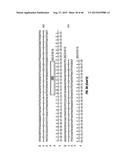 ANTI-MCAM ANTIBODIES AND ASSOCIATED METHODS OF USE diagram and image