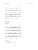 ANTI-MCAM ANTIBODIES AND ASSOCIATED METHODS OF USE diagram and image