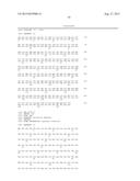 ANTI-MCAM ANTIBODIES AND ASSOCIATED METHODS OF USE diagram and image