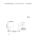 ANTIBODY FC VARIANTS diagram and image