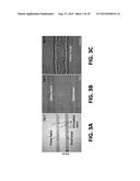 Microfluidic System for Reproducing Functional Units of Tissues and Organs     In Vitro diagram and image