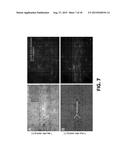 Microfluidic System for Reproducing Functional Units of Tissues and Organs     In Vitro diagram and image