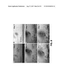 Microfluidic System for Reproducing Functional Units of Tissues and Organs     In Vitro diagram and image