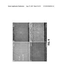 Microfluidic System for Reproducing Functional Units of Tissues and Organs     In Vitro diagram and image