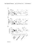 METHOD FOR POLYCLONAL STIMULATION OF T CELLS BY MOBILE NANOMATRICES diagram and image