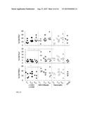 METHOD FOR POLYCLONAL STIMULATION OF T CELLS BY MOBILE NANOMATRICES diagram and image