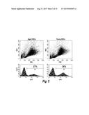 CONDITIONALLY IMMORTALIZED LONG-TERM STEM CELLS AND METHODS OF MAKING AND     USING SUCH CELLS diagram and image