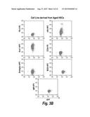 CONDITIONALLY IMMORTALIZED LONG-TERM STEM CELLS AND METHODS OF MAKING AND     USING SUCH CELLS diagram and image