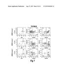 CONDITIONALLY IMMORTALIZED LONG-TERM STEM CELLS AND METHODS OF MAKING AND     USING SUCH CELLS diagram and image