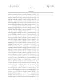 CONDITIONALLY IMMORTALIZED LONG-TERM STEM CELLS AND METHODS OF MAKING AND     USING SUCH CELLS diagram and image