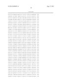 CONDITIONALLY IMMORTALIZED LONG-TERM STEM CELLS AND METHODS OF MAKING AND     USING SUCH CELLS diagram and image