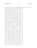 CONDITIONALLY IMMORTALIZED LONG-TERM STEM CELLS AND METHODS OF MAKING AND     USING SUCH CELLS diagram and image