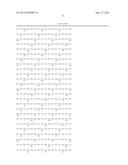 CONDITIONALLY IMMORTALIZED LONG-TERM STEM CELLS AND METHODS OF MAKING AND     USING SUCH CELLS diagram and image